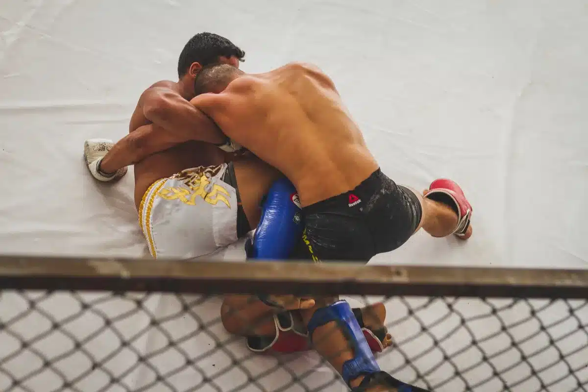 Боец UFC в клинче, контролирующий соперника в октагоне
